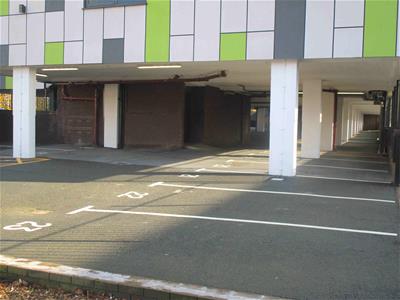 Picture 8